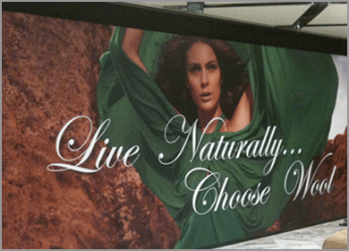 Wall Graphics